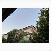 気付けば年末です ...