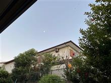 気付けば年末です ...
