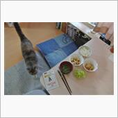 〔隔週〕先週、今週の朝食(4 ...