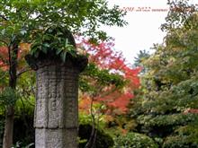 智積院〜国立博物館〜方広寺/豊国神社〜東寺