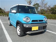 個性的な軽自動車