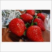 いちご🍓自販機　伊勢苺園