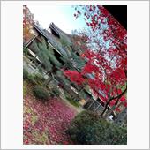 京都で紅葉を