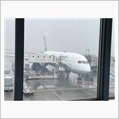 北海道は雪で東京も寒かった