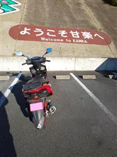 久しぶりのピッツァ
