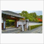  妙心寺・塔頭「桂春院」に行 ...