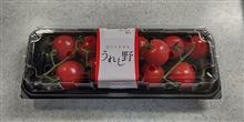 うれし野「房どりミニトマト」       #ミニトマト #三重県 #うれし野 #房どりミニトマト #犬 #ハッピー #ミニチュアダックスフント #猫 #アッピー #あや #アビシニアン