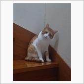 おはようございます(*^^*)