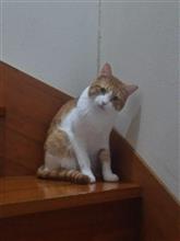 おはようございます(*^^*)