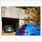 今年もVWの先輩と黄色い景色 ...