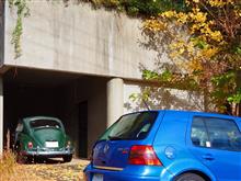 今年もVWの先輩と黄色い景色と～