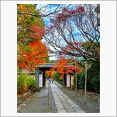 「龍安寺」に行きました！　～ ...