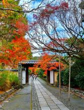 「龍安寺」に行きました！　～2022年紅葉狩り～