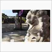 唐澤山神社(2022/12/ ...