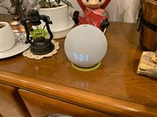 我が家にもついに・・・😆