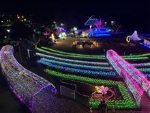 霞ヶ浦総合公園水郷桜イルミネーション
