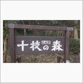 十枝の森
