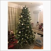 クリスマスツリーを出したよ