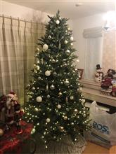 クリスマスツリーを出したよ
