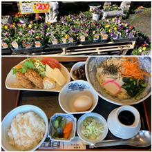 花が咲いたら同窓会。