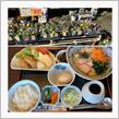 花が咲いたら同窓会。