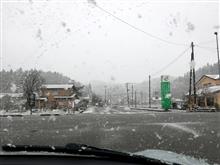 落葉と初雪