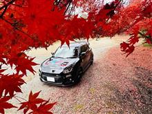 【嵐山•高雄パークウェイ】で紅葉狩り🍁 【嵐山•高雄パークウェイ】で紅葉狩り🍁
