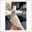 ぶんちょう♪