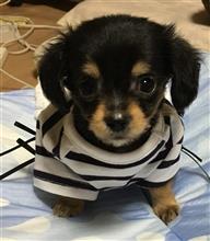 慣れて来た自分に…