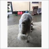 説明会に参加しました。(朝ご ...