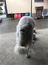 説明会に参加しました。(朝ご飯中です)