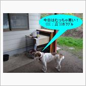 らんまる邸リニューアル♪　( ...
