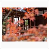 等持院と妙心寺（大法院&amp;退蔵 ...
