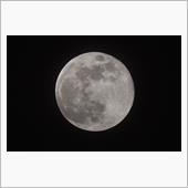 昨日の夜は今年最後の