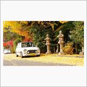 今年の紅葉締めくくり。