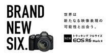１２月１５日に決定