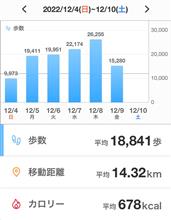 ウォーキング？仕事？？