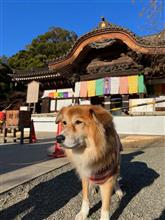 こんな日でも、、、普通の日記('22バージョン) こんな日でも、、、普通の日記('22バージョン)