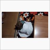 帰宅後･･･急いで回収･･･ ...