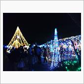今年もルミナリエは無しなので