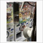 ハム太郎からのモグラリターン