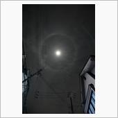 ハロ。。