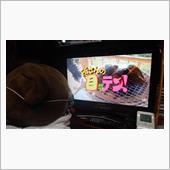 いつもの朝はテレビの前に張り ...