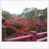 忙しすぎて季節が変わってたw ...