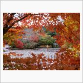 美の龍安寺