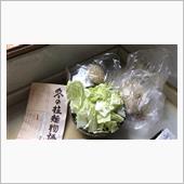 今日はほぼ台所に