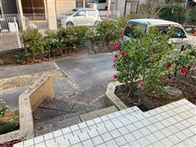 出撃致します(・∀・)ノ