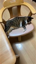 夜勤明けの一日休み