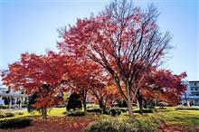 年末に向けて。