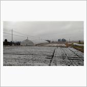 初雪